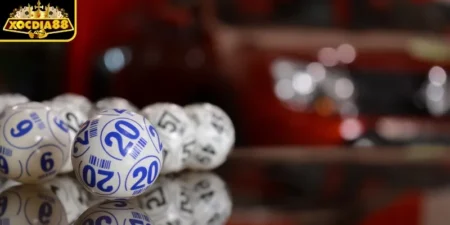 Chiến lược nuôi dàn đề theo ngày hiệu quả của chuyên gia